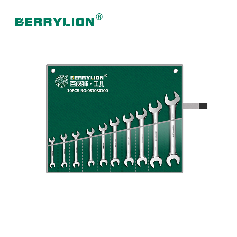 10pcs polished double open wrench set